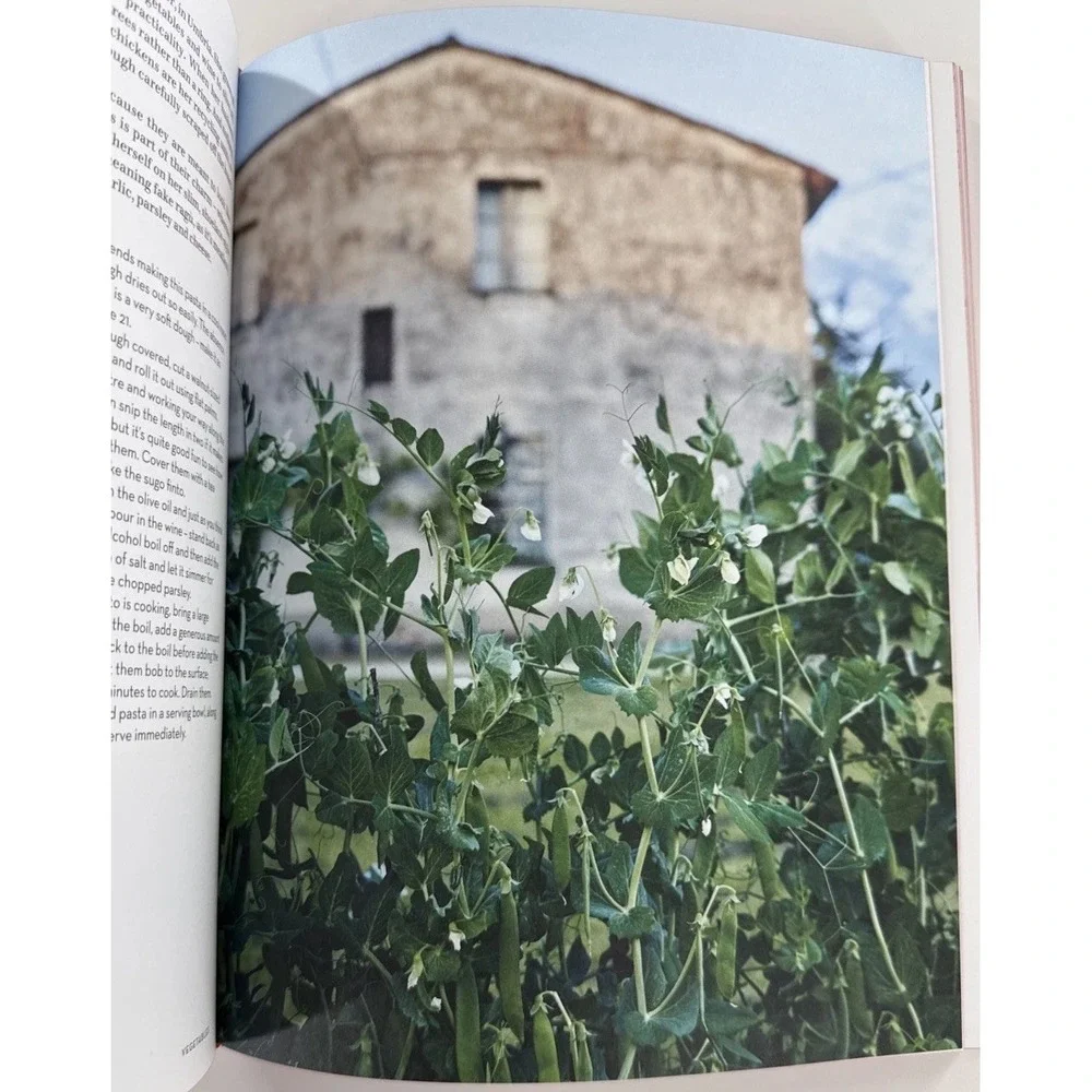 Pasta Grannies: The Official Cookbook: The Secrets of Italy's Best Home Cooks HC